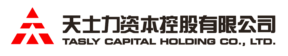 dafacasino网页版资本控股有限公司